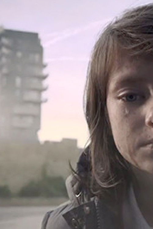 Most Shocking Second a Day Video (2014) poster