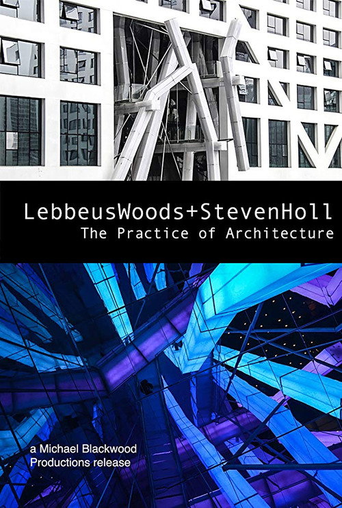 Lebbeus Woods + Steven Holl: The Practice of Architecture (2012) poster