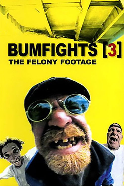Bumfights Vol. 3: The Felony Footage (2004) poster