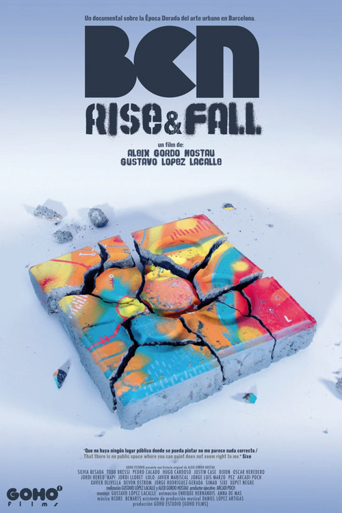 BCN Rise and Fall (2013) poster
