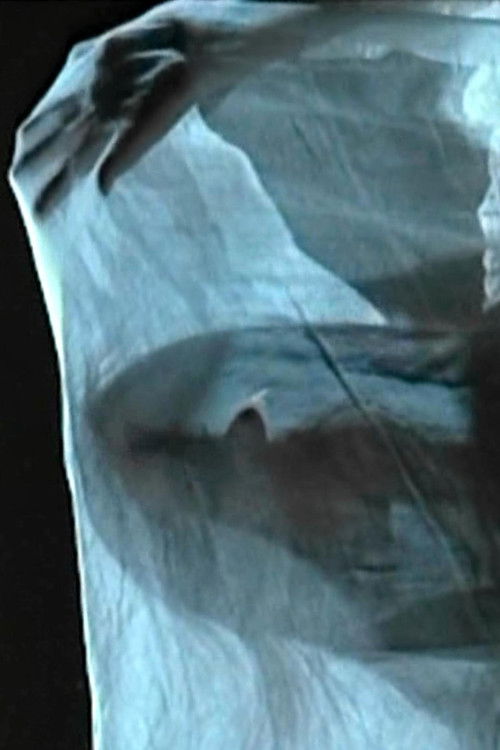 The Silence of Love (1991) poster