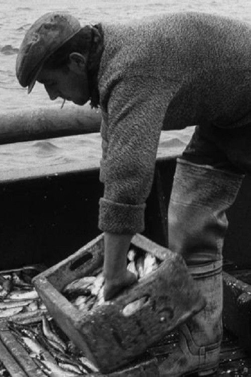 Caller Herrin' (1947) poster