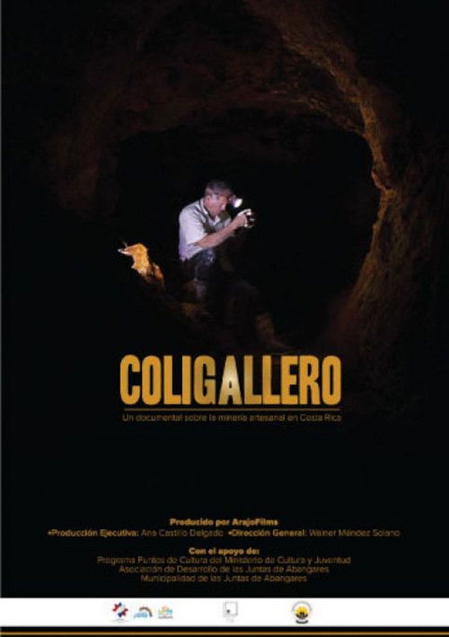 Coligallero (2020) poster