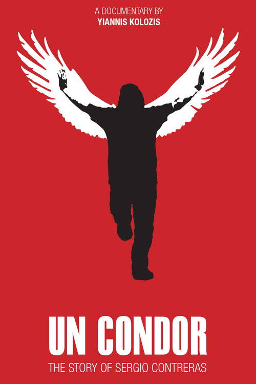 Un Condor (2016) poster