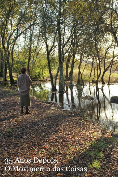35 Anos Depois, O Movimento das Coisas (2015) poster