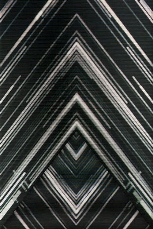 SAKANAQUARIUM 2015-2016 "NF Records launch tour" -LIVE at NIPPON BUDOKAN 2015.10.27- (2016) poster