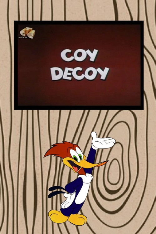 Coy Decoy (1963) poster