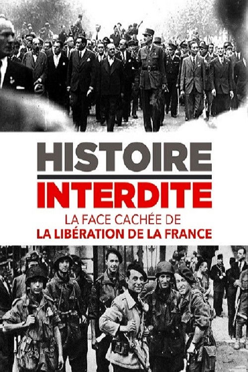 La Face cachée de la Libération (2014) poster