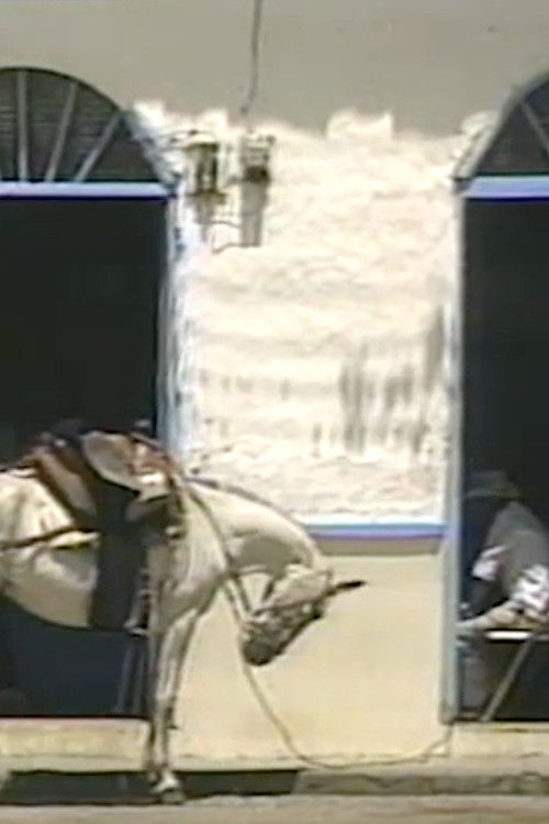 Recuerdos de Sangre (1990) poster