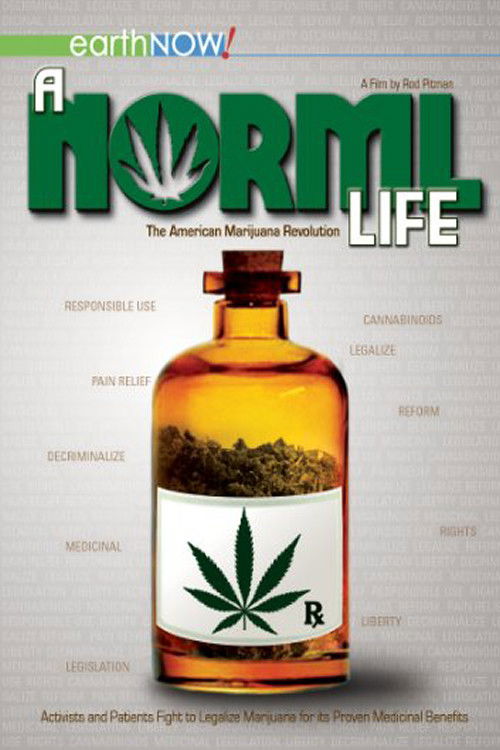 A Norml Life (2011) poster