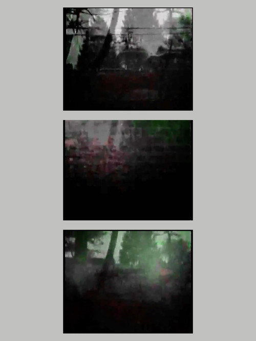 view from a cemetery (2011) poster