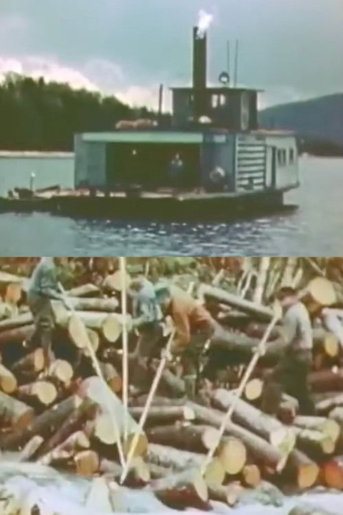 Elegy for Saw (Computer Version) (2020) poster