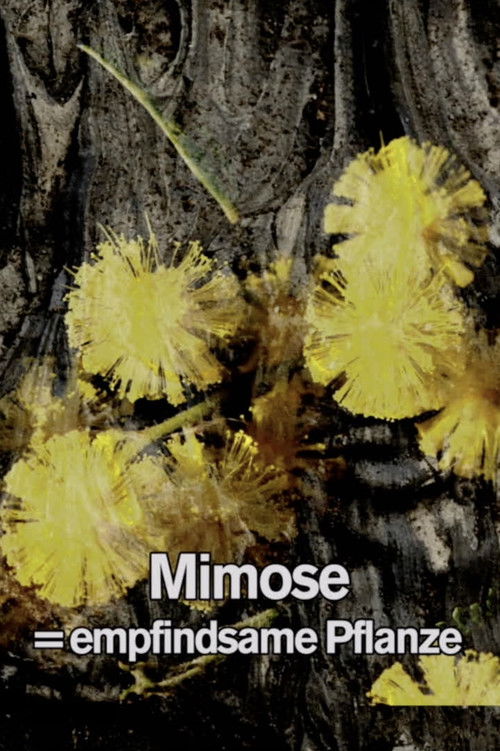 Mimosa Tank: A Prologue for a Film (2017) poster
