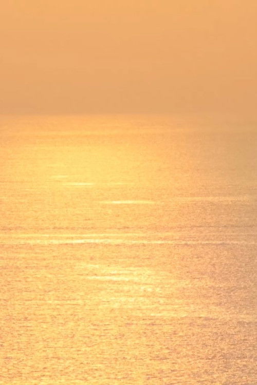 Ce qu’il reste des vagues (2024) poster