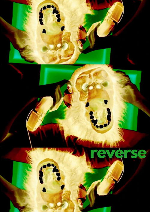 Reverse (2017) poster