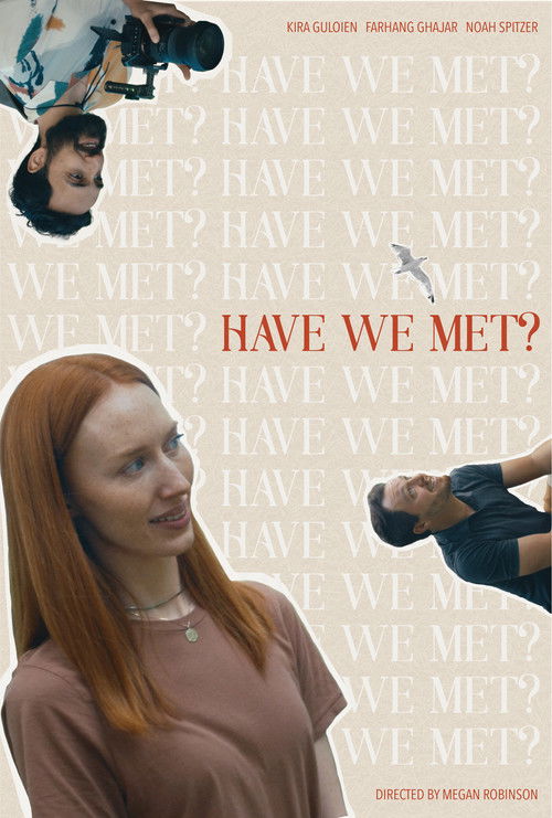 Have We Met? (2024) poster