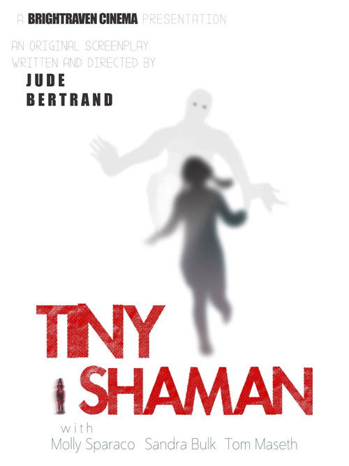 Tiny Shaman poster