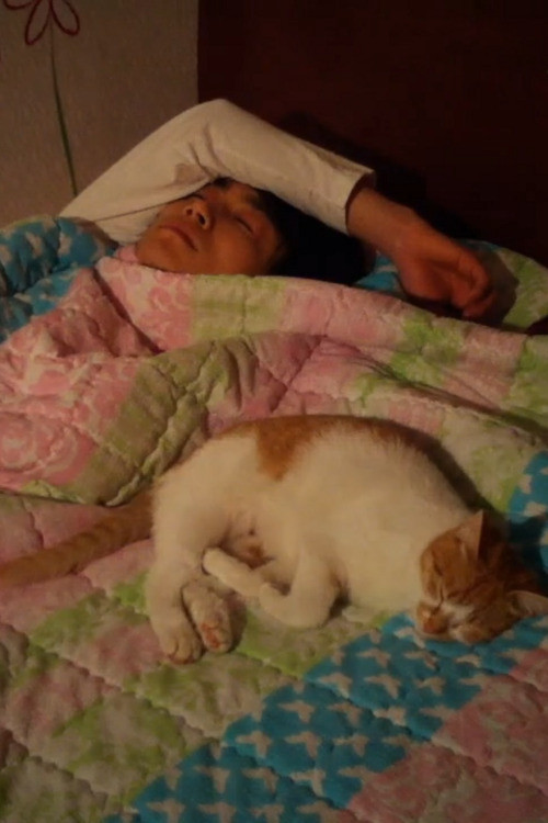 Stray Cats (2011) poster