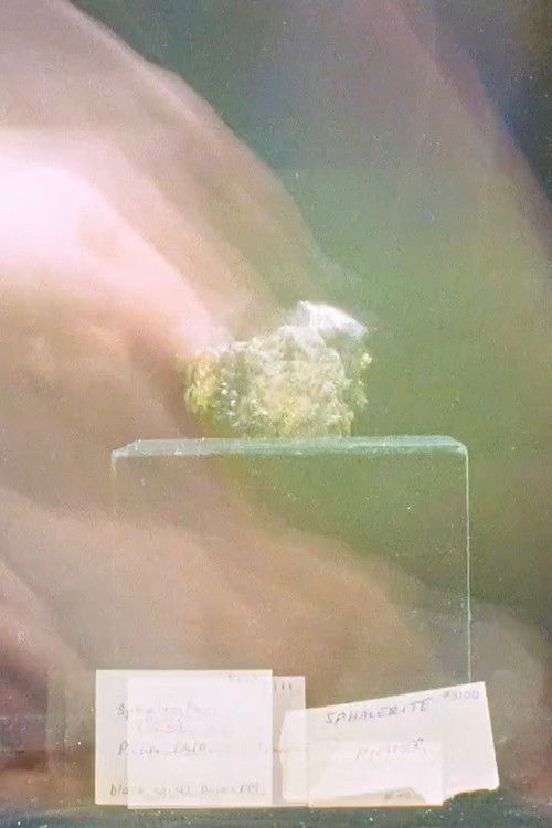 Hoarders Without Borders (2018) poster