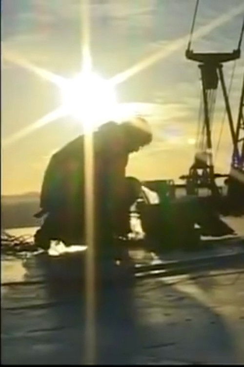 Moción de orden (2002) poster