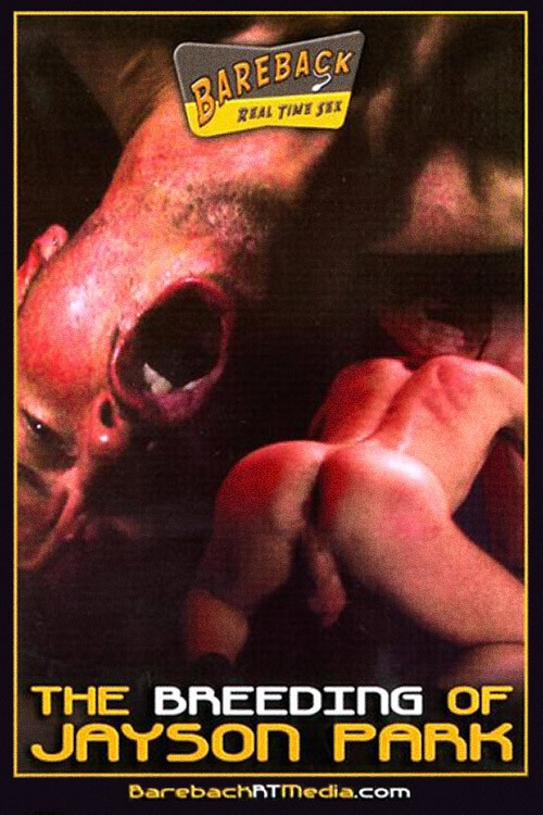 The breeding of Jayson Park (2011) poster