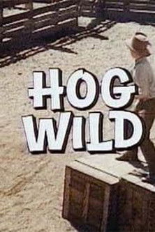 Hog Wild (1974) poster