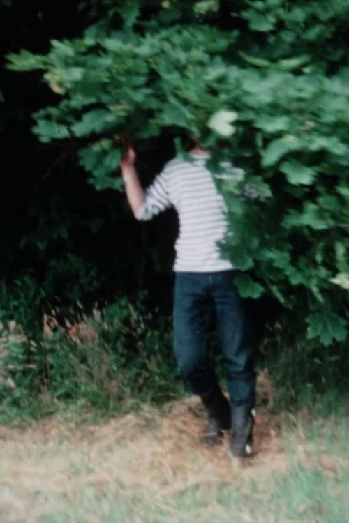 Carolyn and Me: Part One (1969) poster