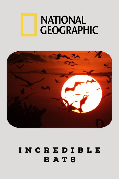 Incredible Bats (2019) poster