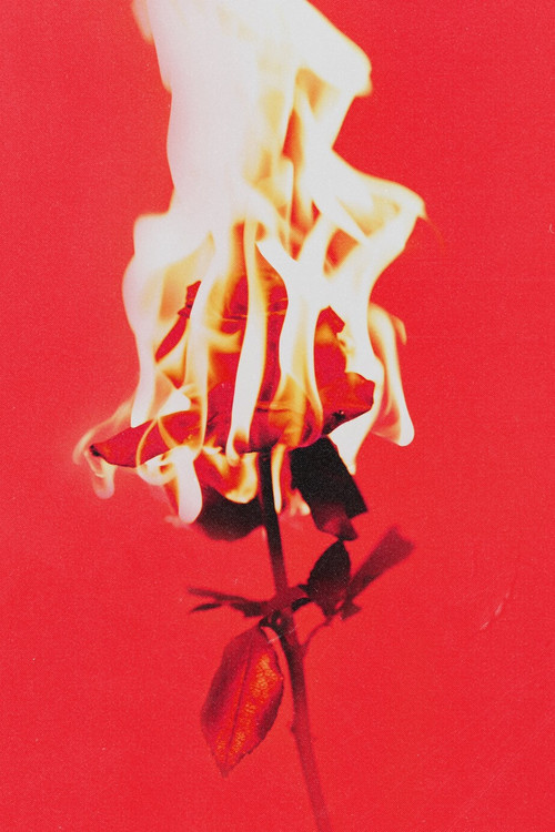 Love or Loved Part.1 Official Live Clip (2022) poster