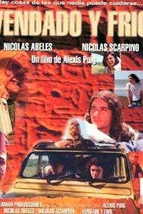 Vendado y frío (1999) poster