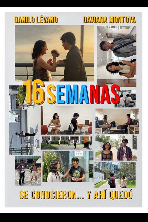 16 semanas poster