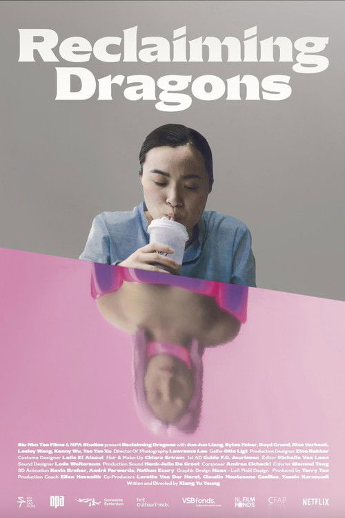 Reclaiming Dragons (2025) poster
