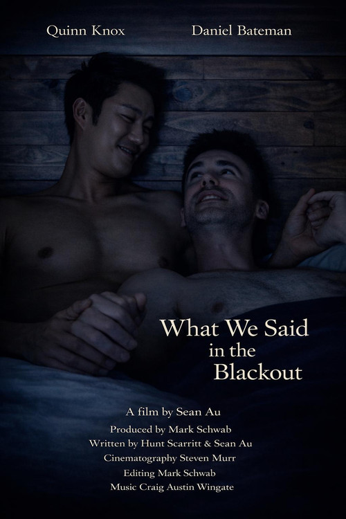 What We Said in the Blackout (2025) poster