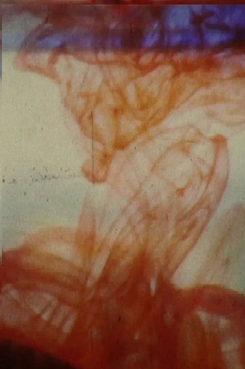 Afternoon In (2014) poster