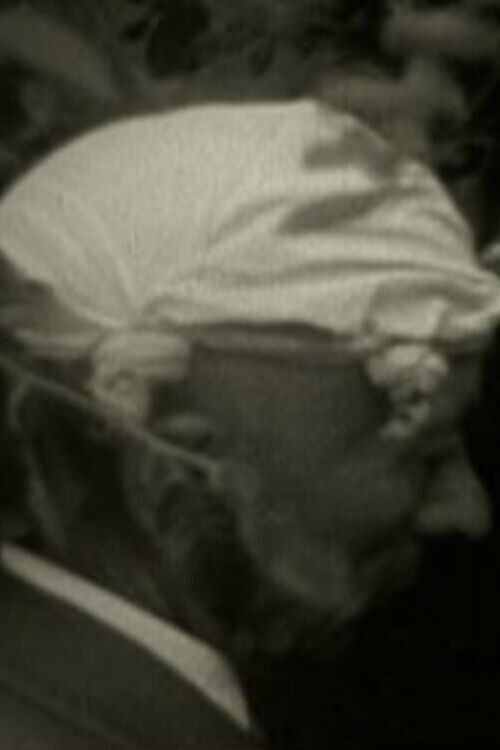 Way Fare (2009) poster