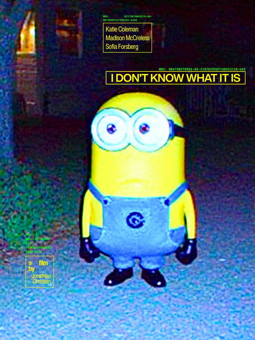 I Don't Know What It Is (2025) poster