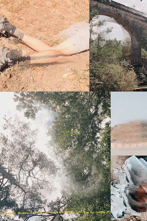 cuando muera tendré un cubo de tierra junto a mi cama (2024) poster