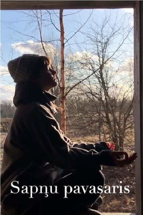 The Dream Spring (2020) poster