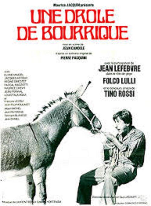 The Donkey of Zigliara (1971) poster