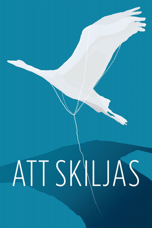 A Separation (2014) poster