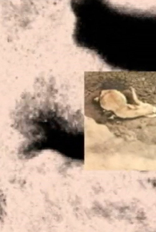The Science of Singularity (2004) poster