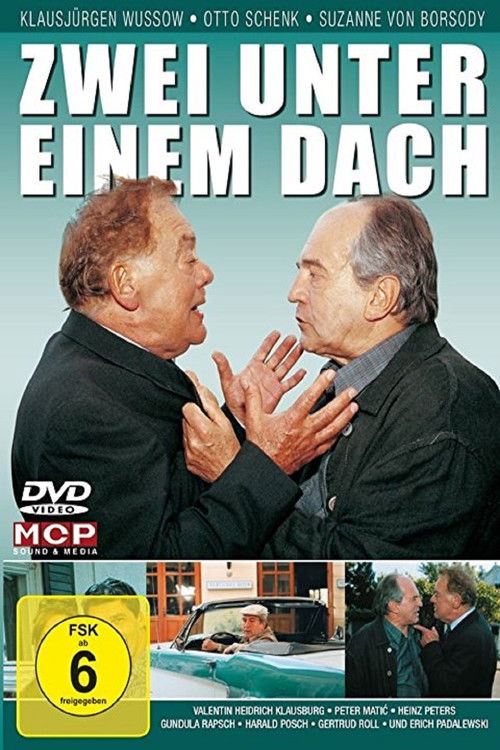 Zwei unter einem Dach (2001) poster