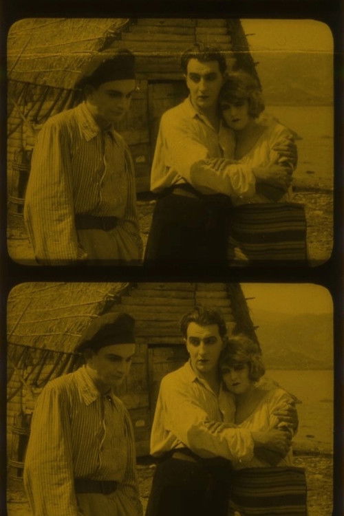 Strandgut (1924) poster