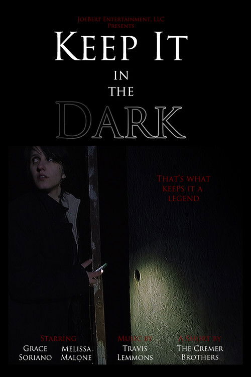 Keep It in the Dark (2017) poster