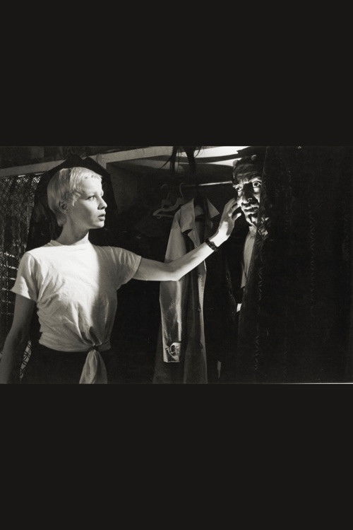 El diablo y la dama (1984) poster