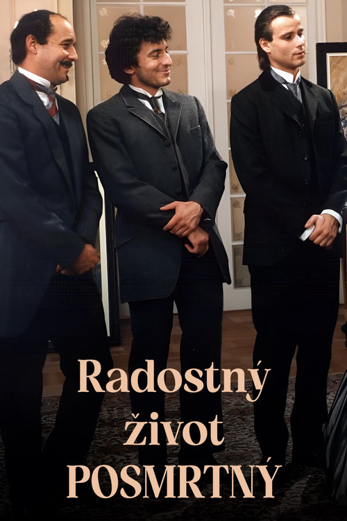 Radostný život posmrtný (1990) poster