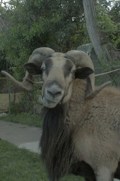 East Side (2018) poster