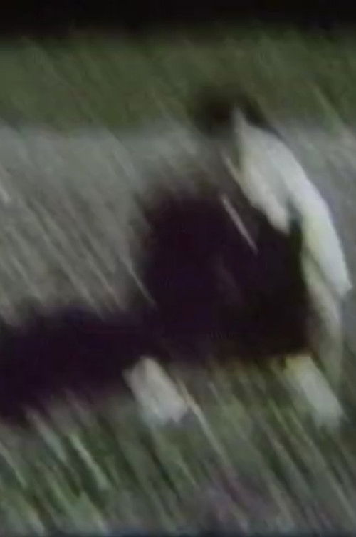 Camera/Cage (1978) poster