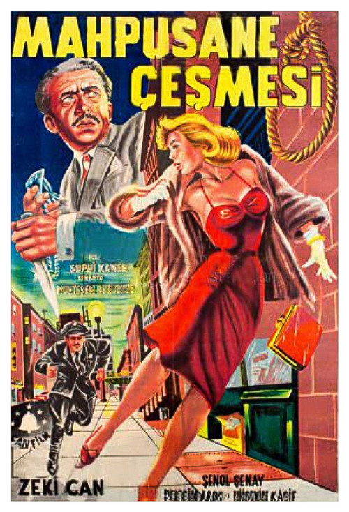 Mahpushane Çeşmesi (1964) poster