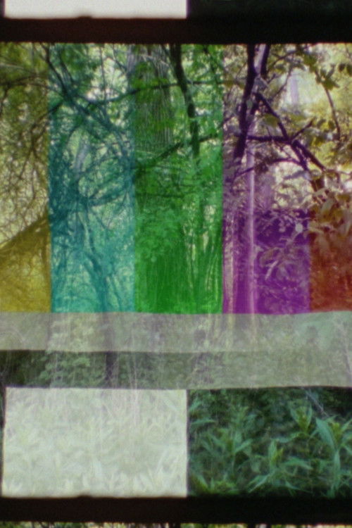 SMPTE FOREST (2023) poster